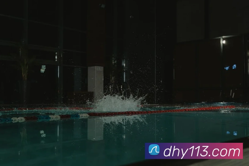 大红鹰平台平台生态图